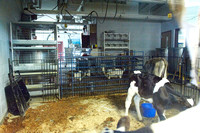 Animal Lab In The Agriculture Department