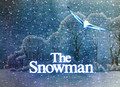 The SNOWMAN